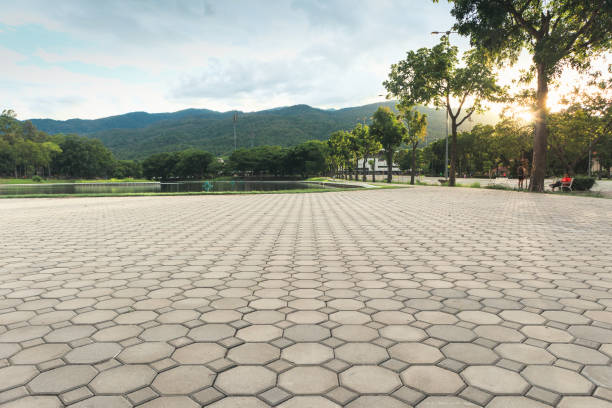Best Interlocking Driveway Pavers  in Selmont West Selmont, AL